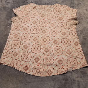 0170. EUC ~ Dragon Flies in a Playful Pullover in XL ~